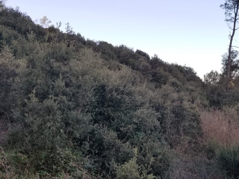 A saisir grand terrain non constructible à vendre. (30 429 m²)