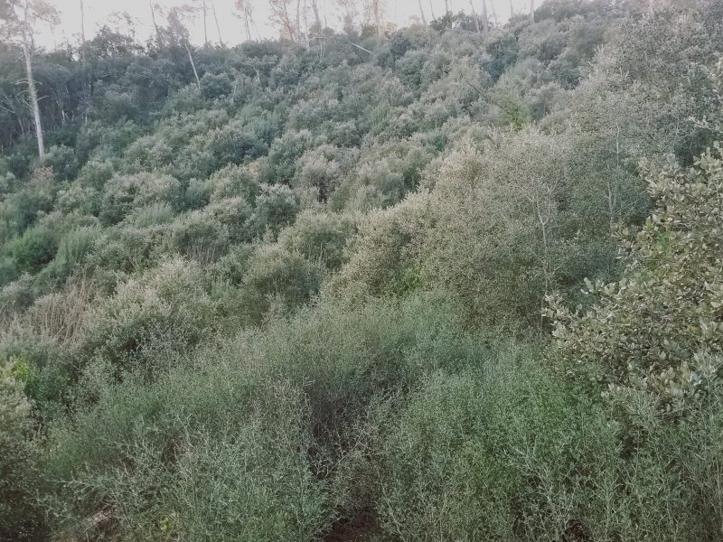 A saisir grand terrain non constructible à vendre. (30 429 m²)