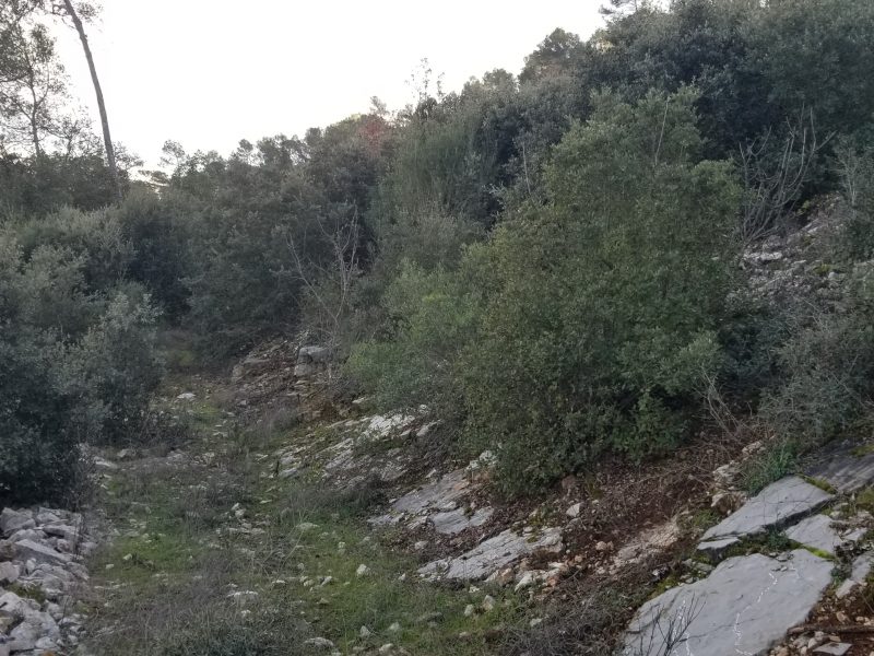 A saisir grand terrain non constructible à vendre. (30 429 m²)