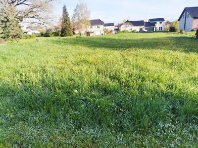 2 parcelles